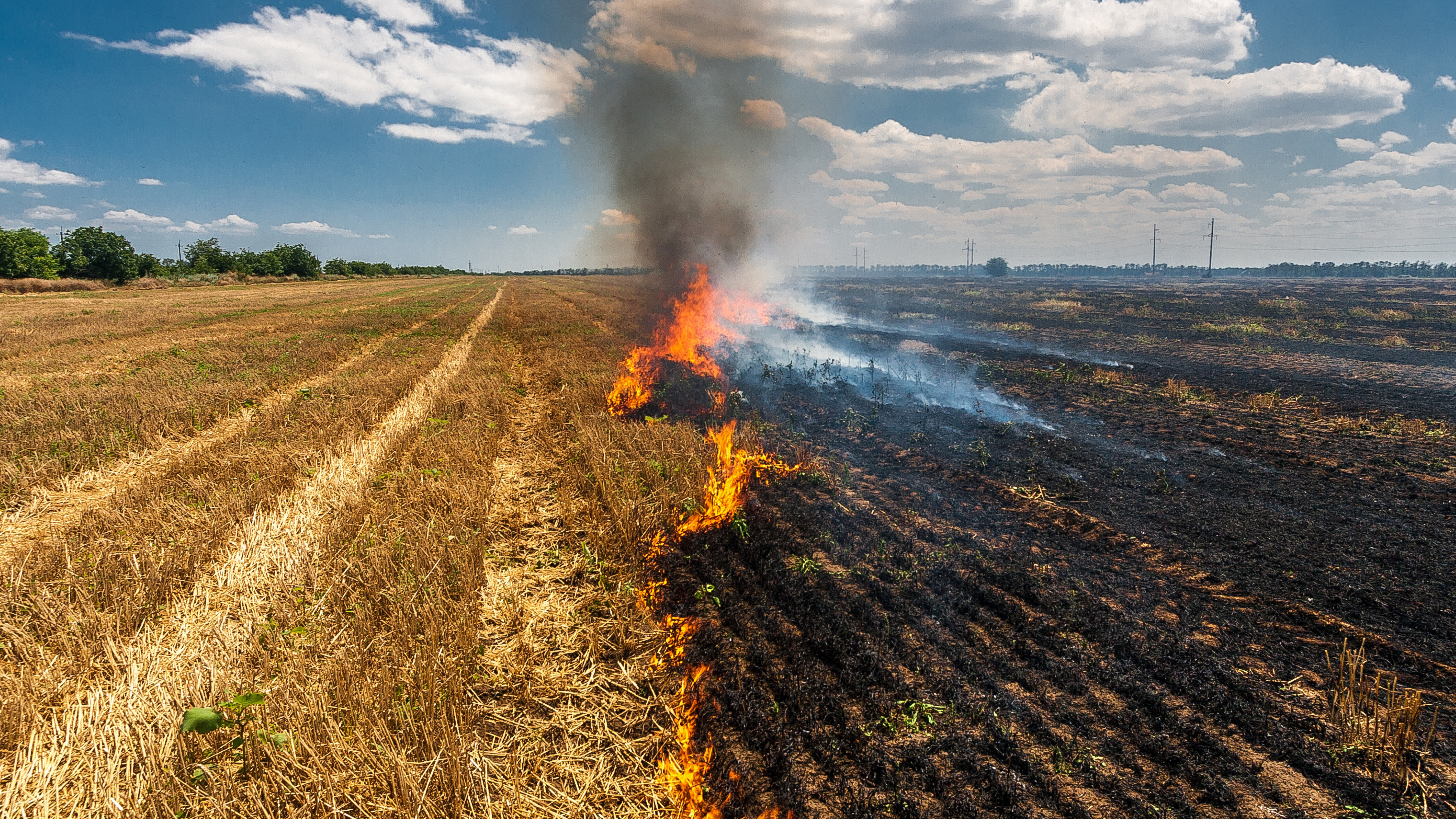 Stubble burning in an agricultural field